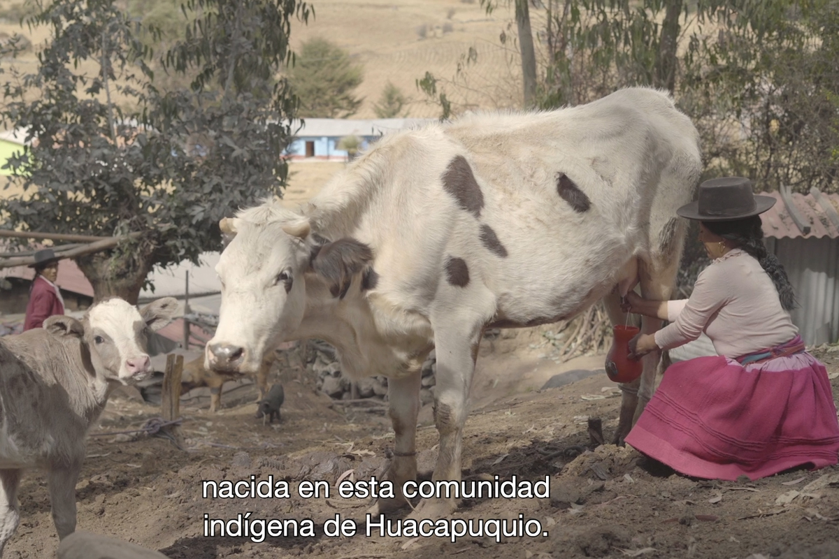 video-7